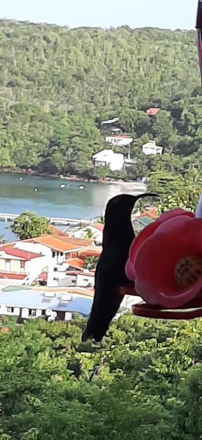 Appartement Colibri , Les Anses D 'Arlet Les Anses-d'Arlets Exterior foto